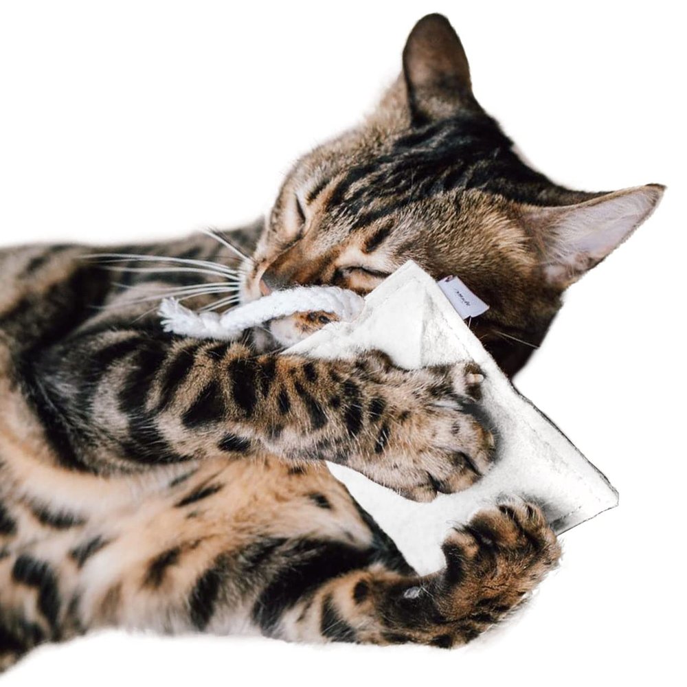 CanadianCat Company | Sustainable Cat Toy Cuddle Pillow with Rope and 5g Premium Valerian Filling