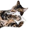 CanadianCat Company | Sustainable Cat Toy Cuddle Pillow with Rope and 5g Premium Valerian Filling view 1