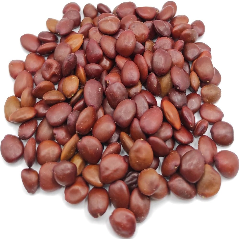 Greek Organic Carob Seeds 40 g–1.95 kg, Ceratonia siliqua (950 grams)