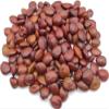 Greek Organic Carob Seeds 40 g–1.95 kg, Ceratonia siliqua (950 grams) view 1