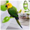 Cuttlebone Holder, 3 Pack view 4