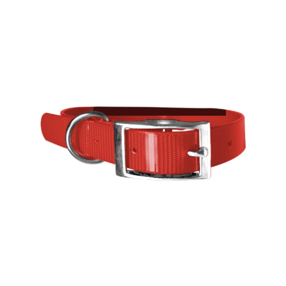 BioThane Dog Collar, 2.5 cm, Length of Choice, 55 cm, Red 318