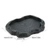EBTOOLS Reptile Bowl view 4