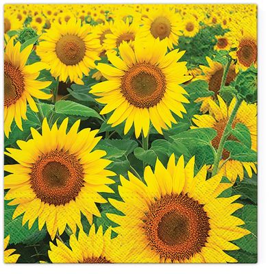 Tete a Tete Paper Napkins, 3-Ply, Pastel Flowers, 33 x 33 cm, 20 Count (Sunflower Field)