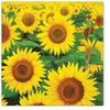 Tete a Tete Paper Napkins, 3-Ply, Pastel Flowers, 33 x 33 cm, 20 Count (Sunflower Field) view 1