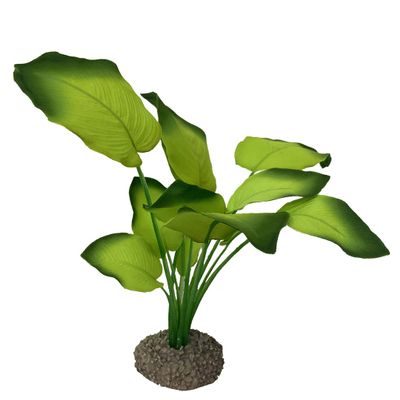 Aqua D'ella Anubias Plant 20 cm