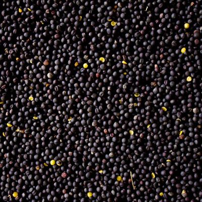 Naturhaus-Kaiser 2 kg Loose Rapeseeds for Heat Cushions, Filling Material, Massage and Therapy, Black