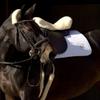 Werner Christ Western Sheepskin Bar Girth, Anatomical Crescent Shape, Gray-Anthracite, 50 cm view 4