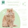 MENFORSAN Very Mild Ecological Shampoo for Cats and Kittens, 300ml view 4