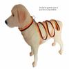 BUDDYPACK | Trendy Adjustable Dog Collar | Sizes XS-XL | Many Color Options (XL 65-80 cm, Black-Red-Yellow) view 3