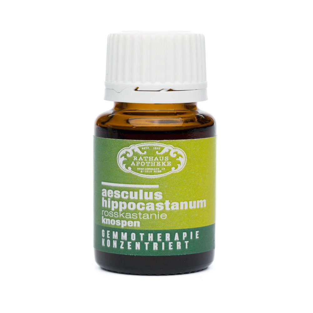 Concentrated Bud Extract Gemmotherapy Aesculus hippocastanum Bud [THE POWER OF HORSE CHESTNUT] Natural Support for Vein Function, Circulation & Feelings of Tightness, 15 ml