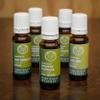 Concentrated Bud Extract Gemmotherapy Aesculus hippocastanum Bud [THE POWER OF HORSE CHESTNUT] Natural Support for Vein Function, Circulation & Feelings of Tightness, 15 ml view 4