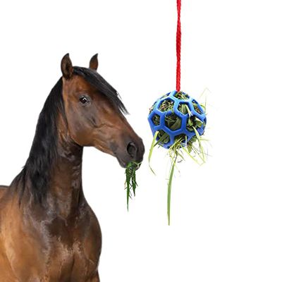Horse Treat Ball Hay Feeder