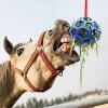Horse Treat Ball Hay Feeder view 2
