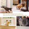 Transparent Round Pet Door with Lock for Cats, Puppies and Dogs view 2