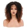 YTOOZ 14-Inch Ombre Brown Wavy Synthetic Lace Front Wig view 1
