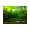 Aquarium Background Poster, Water Grass Style, 3D Effect view 1