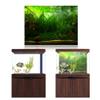 Aquarium Background Poster, Water Grass Style, 3D Effect view 2
