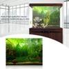 Aquarium Background Poster, Water Grass Style, 3D Effect view 3