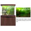 Aquarium Background Poster, Water Grass Style, 3D Effect view 4