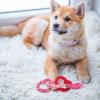 Alipis Dog Toy with Dental Cleaning and Chewing Function view 2