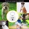 Personalized Stainless Steel Dog Tag, Engraved Pet ID, Black, 30 x 30 mm view 2