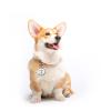 Personalized Rose Gold Pet ID Tag, 25 x 25 mm view 4