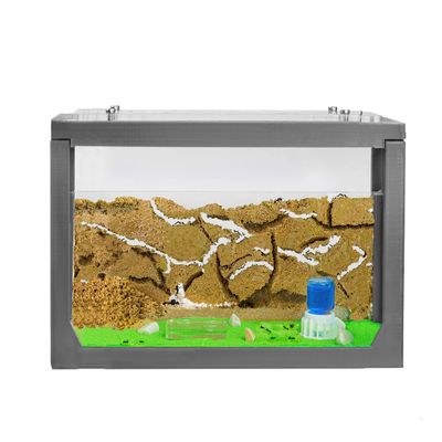 AntHouse Natural Sand Ant Farm | 3D Starter Set 20 x 10 x 10 cm, Green | Including Ants