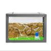 AntHouse Natural Sand Ant Farm | 3D Starter Set 20 x 10 x 10 cm, Green | Including Ants view 1