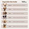 Carlos Diaz Genuine Waxed Leather Premium Polo Dog Collar with Embroidery, S view 2