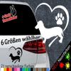Short-Haired Dachshund Heart Sticker – 6 Sizes, 21 Colors view 2