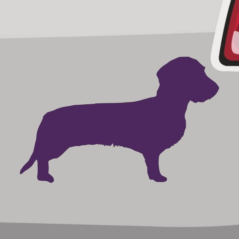 Wirehaired Dachshund Sticker – 6 Sizes, 21 Colors