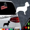 Wirehaired Dachshund Sticker – 6 Sizes, 21 Colors view 2