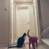 GHCXY Pet Playpen Baby Safety Gate, Indoor Stair Gate, Expandable Pressure-Mounted, 90 cm High, 125–131 cm view 3