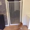 GHCXY Pet Playpen Baby Safety Gate, Indoor Stair Gate, Expandable Pressure-Mounted, 90 cm High, 125–131 cm view 4