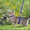 Adjustable Nylon Cat Harness with Leash - 2 Pack view 2