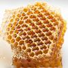Natural Food Raw Sunflower Honey, 22 kg, 20 x 1.1 kg view 2