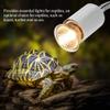 Reptile Heat Lamp, Full Spectrum Sunlight (25W) view 3