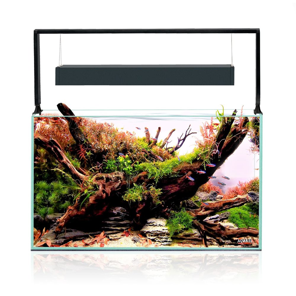 Aquael UltraScape 60 Forest Set, 60 x 30 x 36 cm