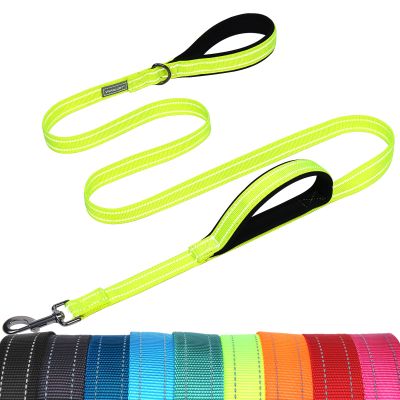 VIVAGLORY Twingrip Dog Leash, 1.2 m x 2.5 cm, Neon Yellow