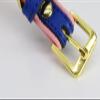 Pet Collar for Dogs and Cats, Yellow, 2XS (14–21 cm, Recommended for 0–2 kg) view 3