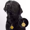 Glitter Paw Custom Pet ID Tag, Gold Personalized Engraved Name Tag for Small to Medium Dogs and Cats, Purple, 2.5 cm Wide view 3