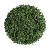 Quality Celery Leaf Flakes - Dried Celery Leaves view 1