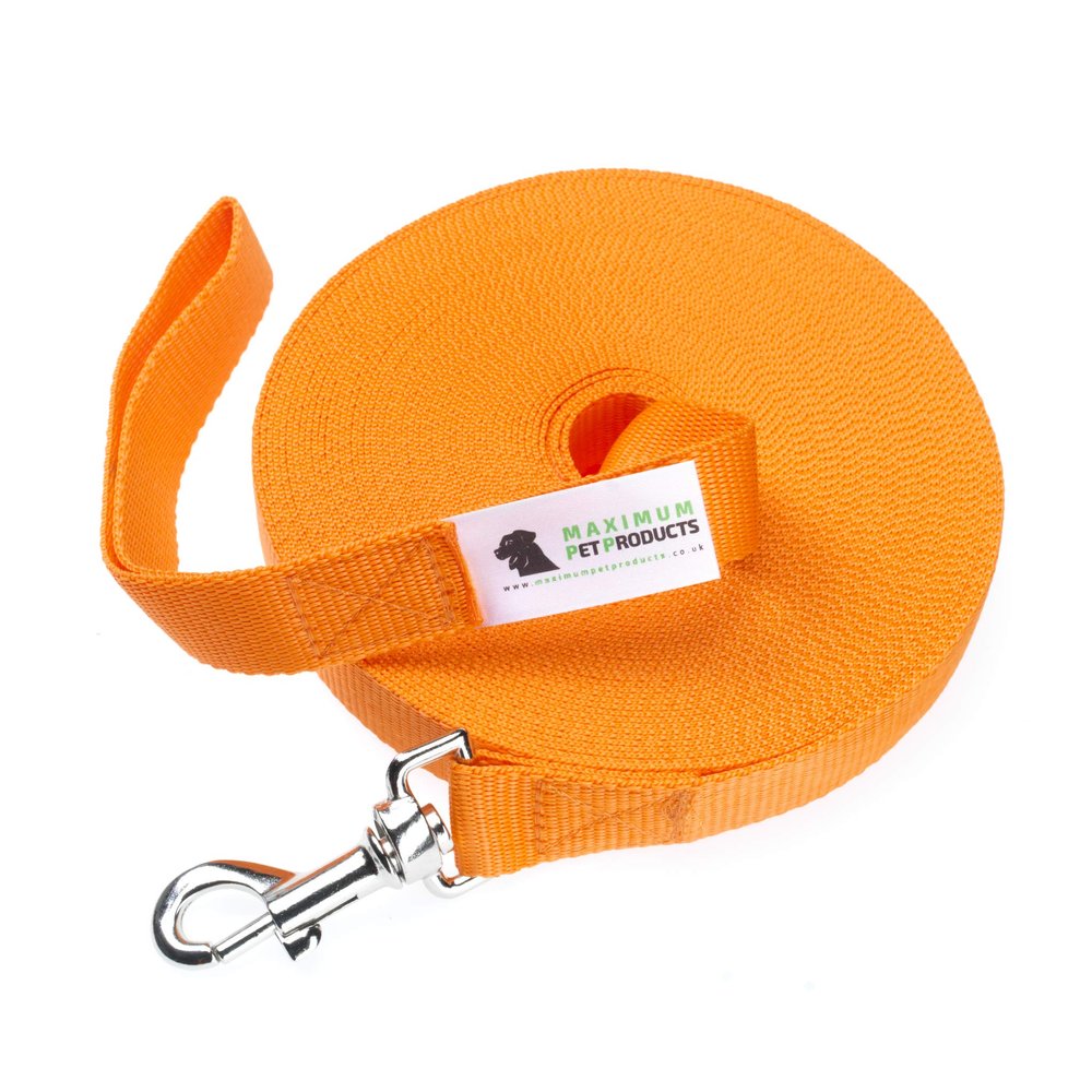 Maximum Pet Products Dog Training Leash, 1.5 m, Orange