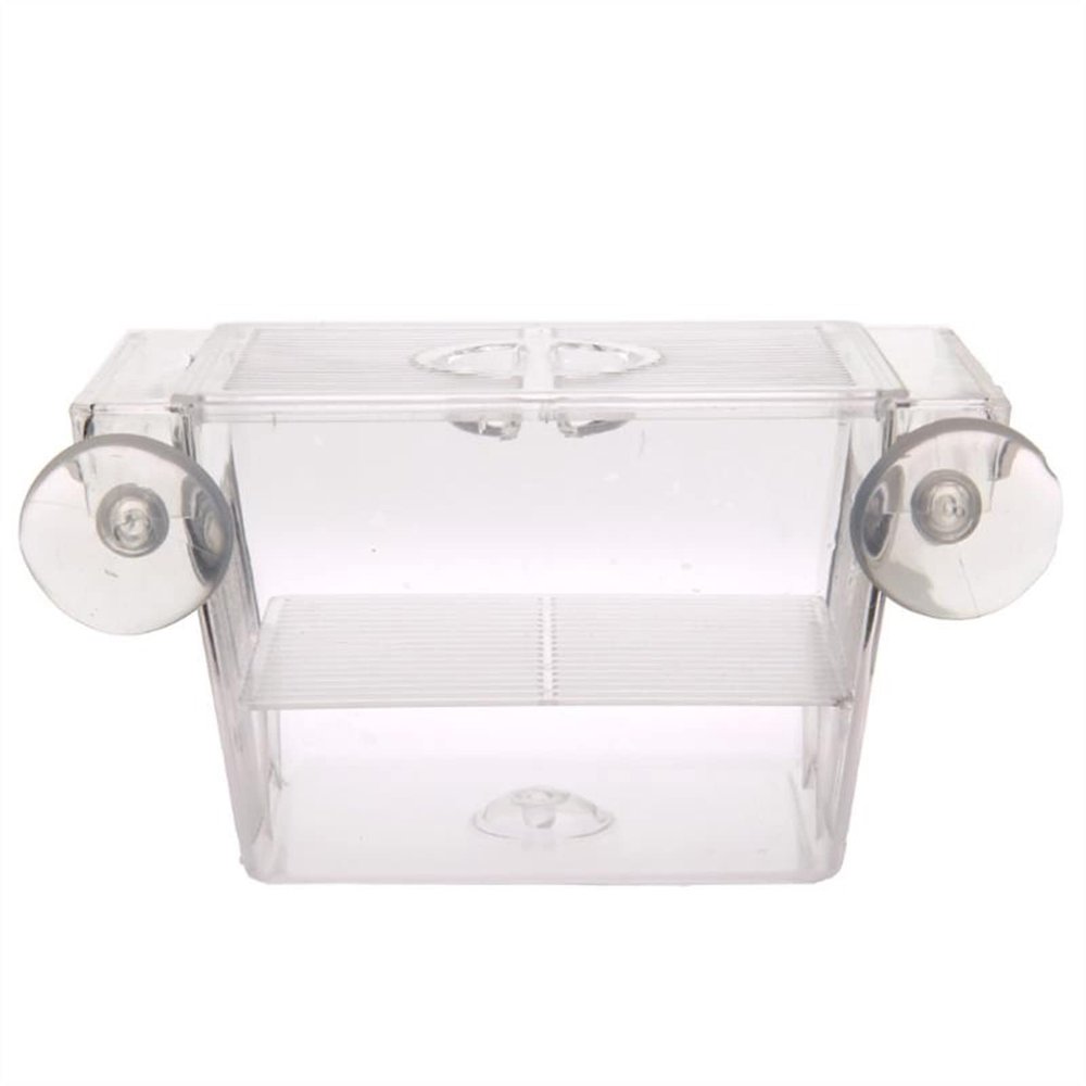 Saturey Acrylic Aquarium Breeding Incubator Holder