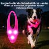 LaRoo Safety LED Flashlight for Dogs and Cats (Pink) view 2