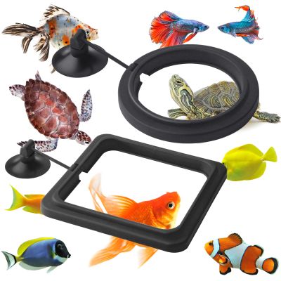 cobee Fish Feeding Ring, 2 Pack