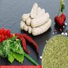 Nuremberg Bratwurst Seasoning, Original Nuremberg Bratwurst – 1,000 g Bag view 3