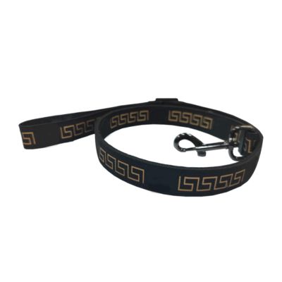 PUYYDS Luxury Dog Harness and Leash Set for Small, Medium, and Large Dogs