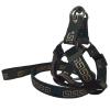 PUYYDS Luxury Dog Harness and Leash Set for Small, Medium, and Large Dogs view 4